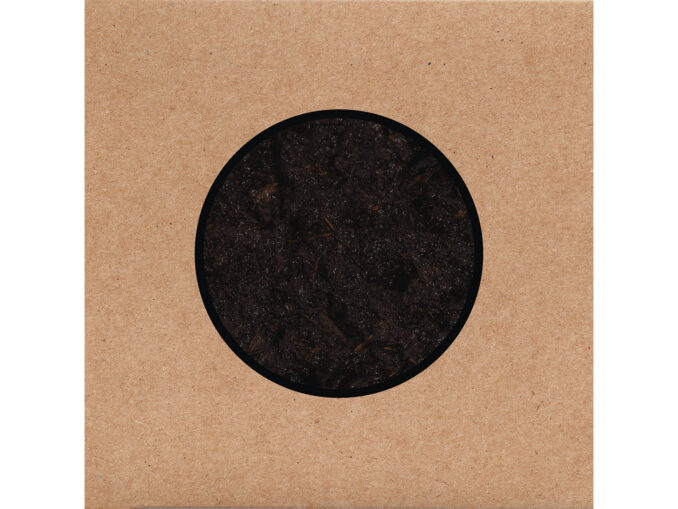 swans-bithing